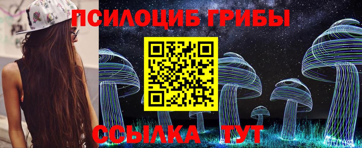 Псилоцибиновые грибы Psilocybe Нальчик