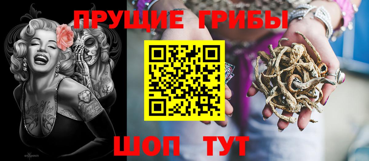 Галлюциногенные грибы Psilocybe  Вход с VPN  Галлюциногенные грибы Magic Shrooms  Нальчик 
